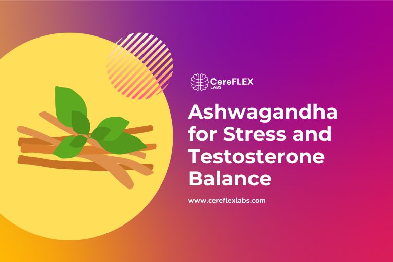 Ashwagandha for stress and testosterone balance