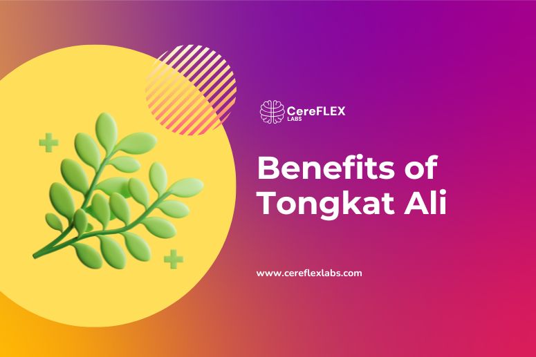 benefits of Tongkat Ali
