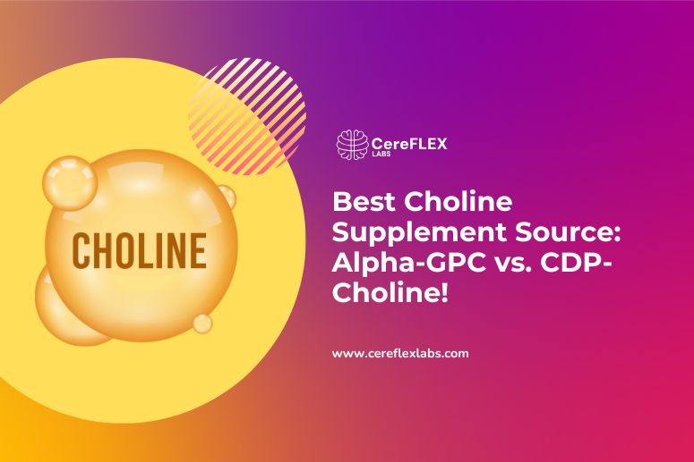 Best Choline Supplement: Alpha-GPC or Citicoline?