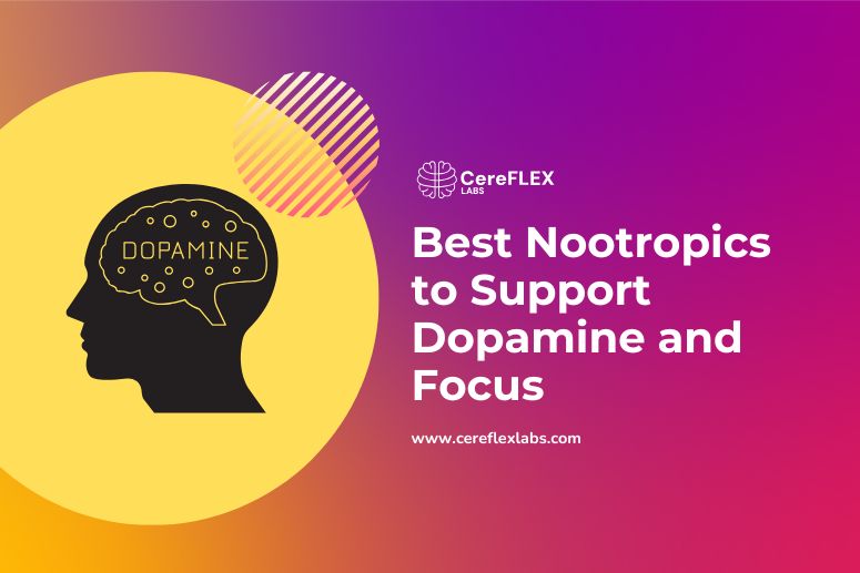 Best Nootropics to Support Dopamine and Focus