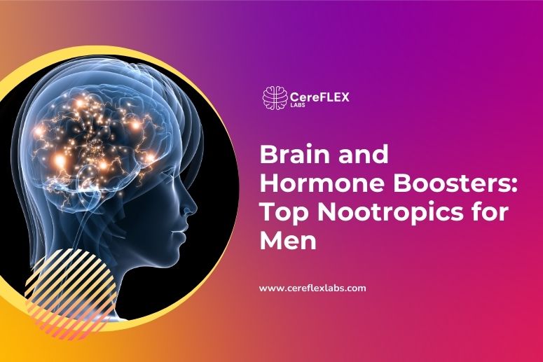 Best Nootropics for Men: Boost Focus & Testosterone
