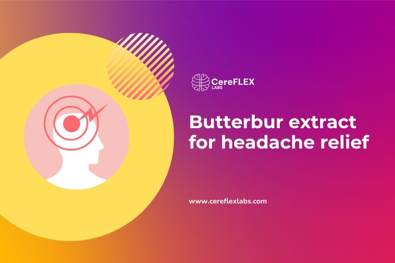 butterbur extract for headache relief