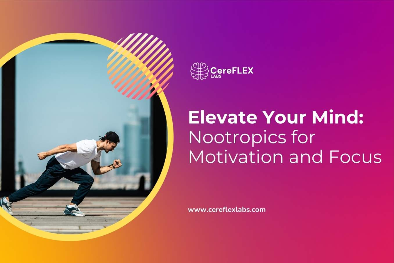 Nootropics for Improved Focus and Motivation