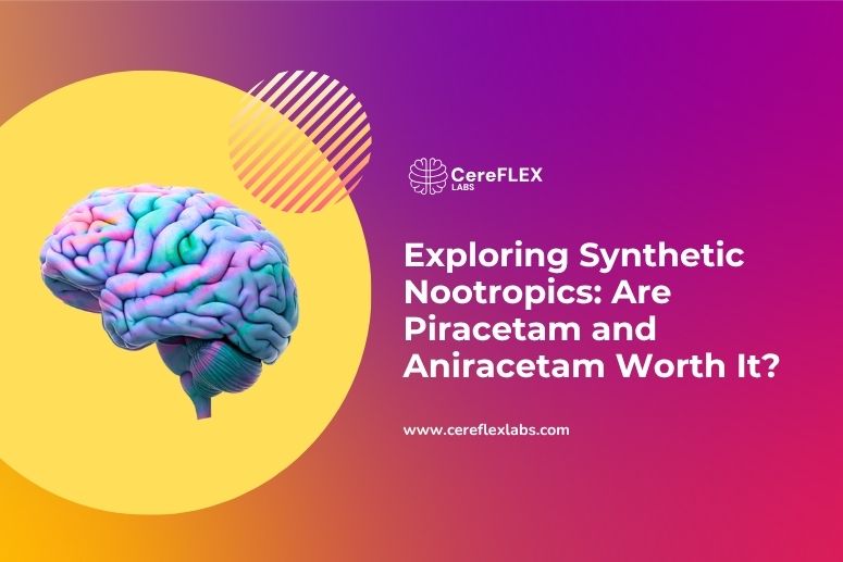 Exploring Synthetic Nootropics: Are Piracetam and Aniracetam Worth It