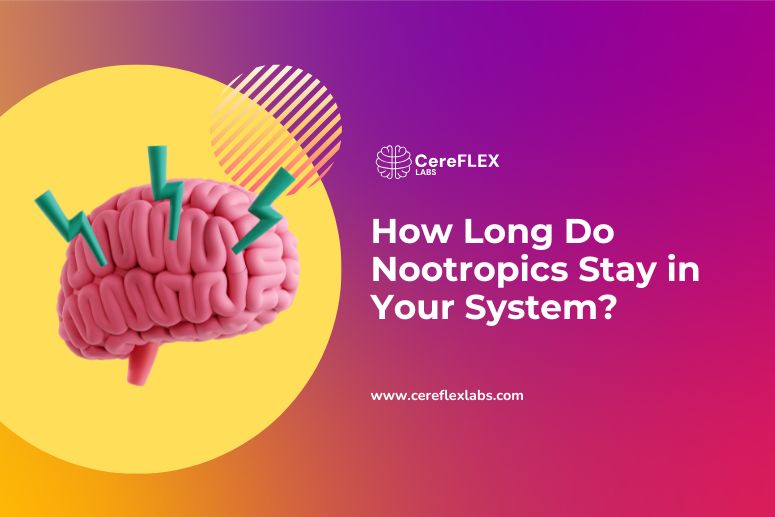 How Fast Do Nootropics Work and Wear Off?