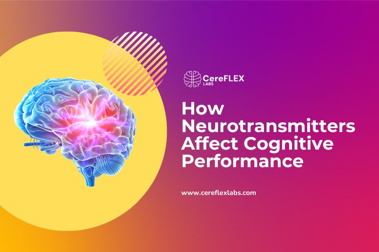 how neurotransmitters affect cognitive performance