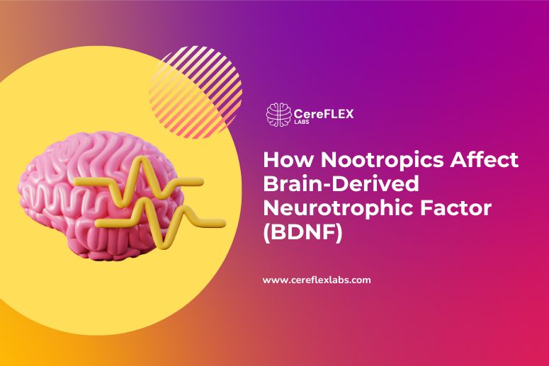 How Nootropics Increase BDNF and Brain Power
