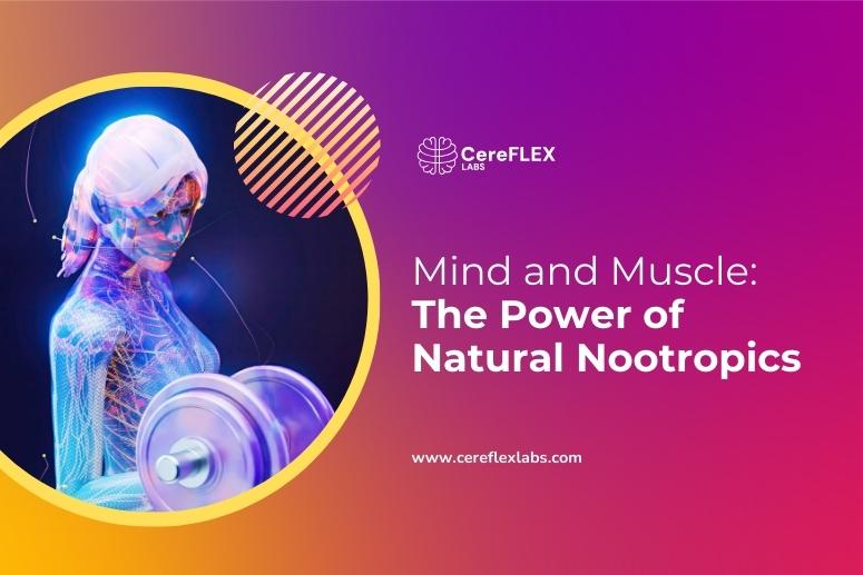 Best Natural Nootropics for Athletes
