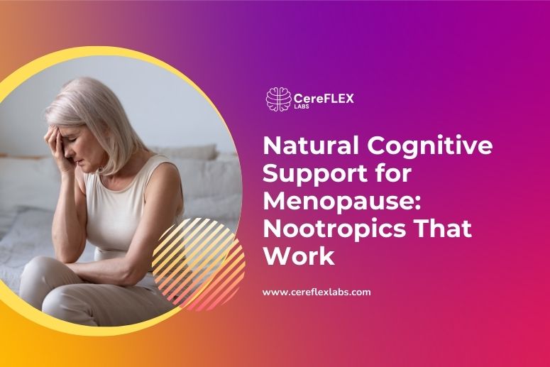 Best Nootropics for Menopause