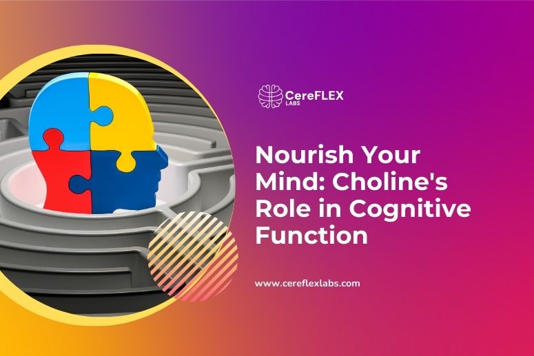 Choline and Cognitive Enhancement: A Comprehensive Guide