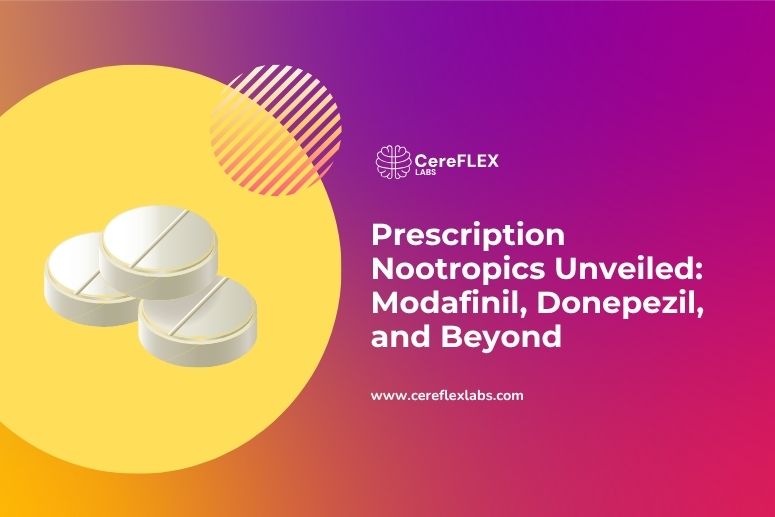 A Guide to Prescription Nootropics