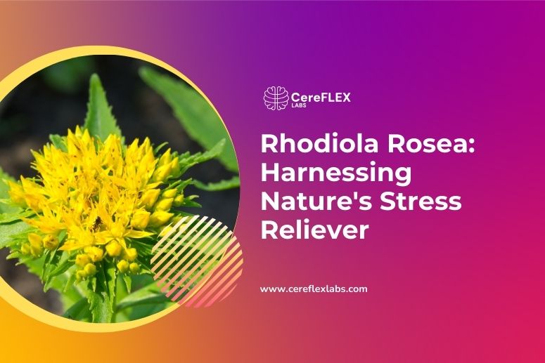 Rhodiola Rosea: Natural Relief for Stress & Fatigue