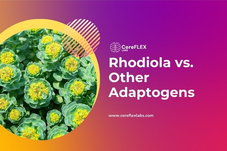 Rhodiola vs. Other Adaptogens: A Comparative Guide