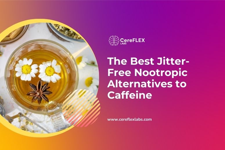 Guide to Best Caffeine-Free Nootropics