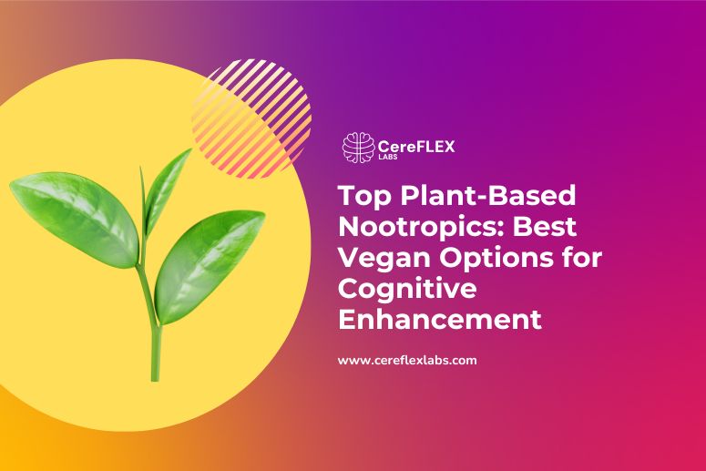 Vegan-Friendly Nootropics for Daily Brain Support