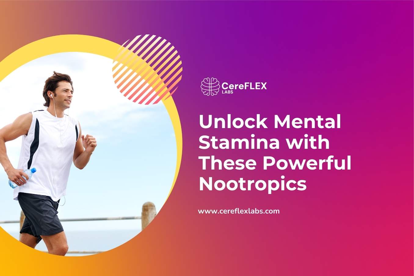 acetyl-l-carnitine nootropic Top Nootropics for Energy & Mental Stamina: Boost Your Focus! acetyl-l-carnitine nootropic Top Nootropics for Energy & Mental Stamina: Boost Your Focus!