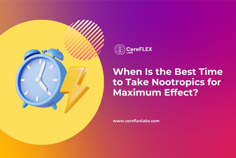 When Should You Take Nootropics? A Timing Guide
