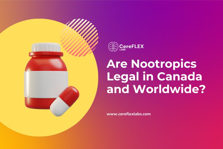 Are Nootropics Legal? Everything You Need to Know About Cognitive Enhancers