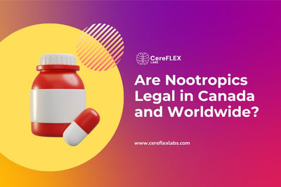 Legal Nootropics: What’s Allowed in Canada & Beyond
