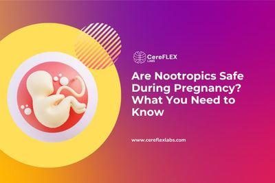 Nootropics During Pregnancy: What’s Safe and What’s Not