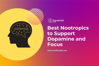 Dopamine-Supporting Nootropics for Better Focus
