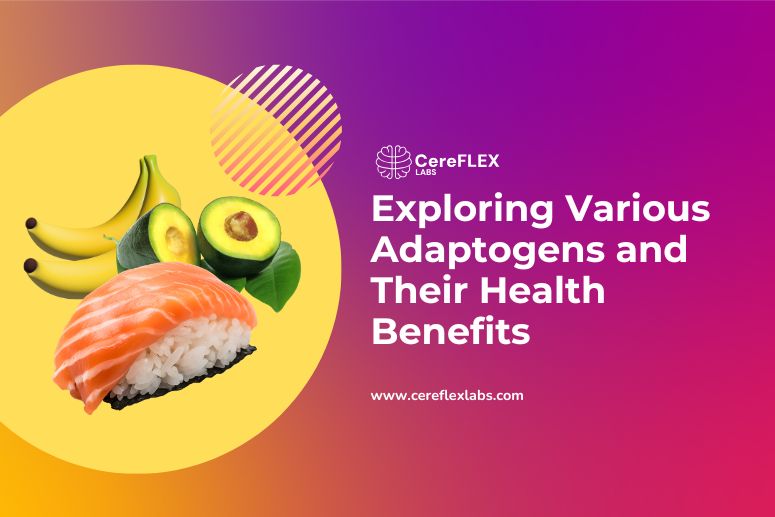 Ultimate Adaptogen Guide for Natural Health Support