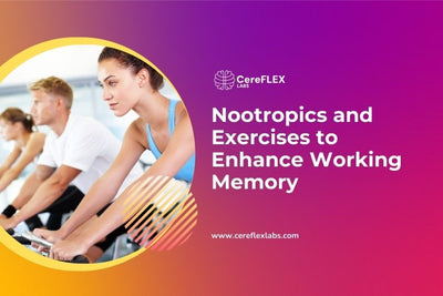 Nootropics and Lifestyle Tips to Help Support Working Memory