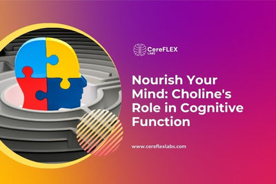 Choline and Cognitive Enhancement: A Comprehensive Guide!