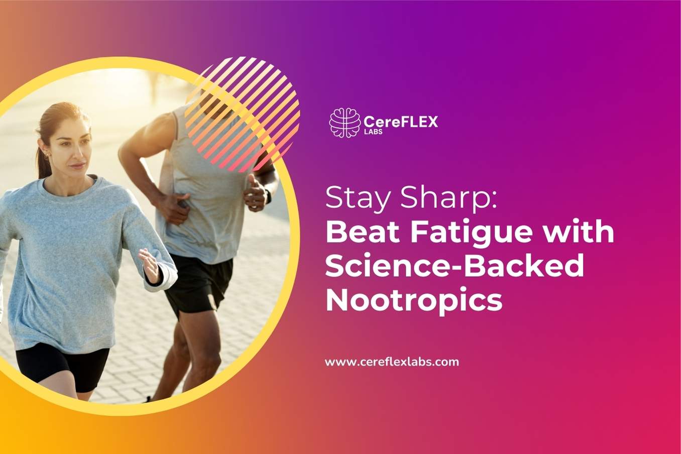 Top Nootropics to Fight Fatigue