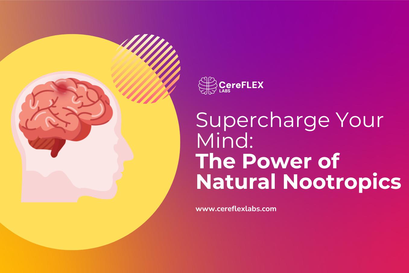 Meet Nootropics: Unleash Your Cognitive Edge!