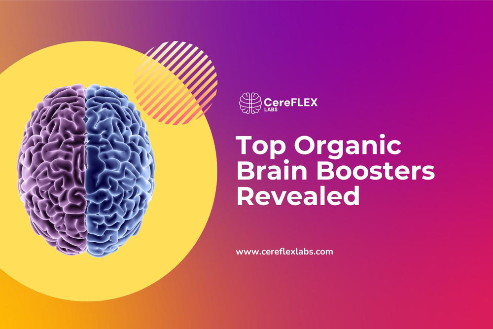Top Natural Nootropics for Focus, Memory, & Brain Health!