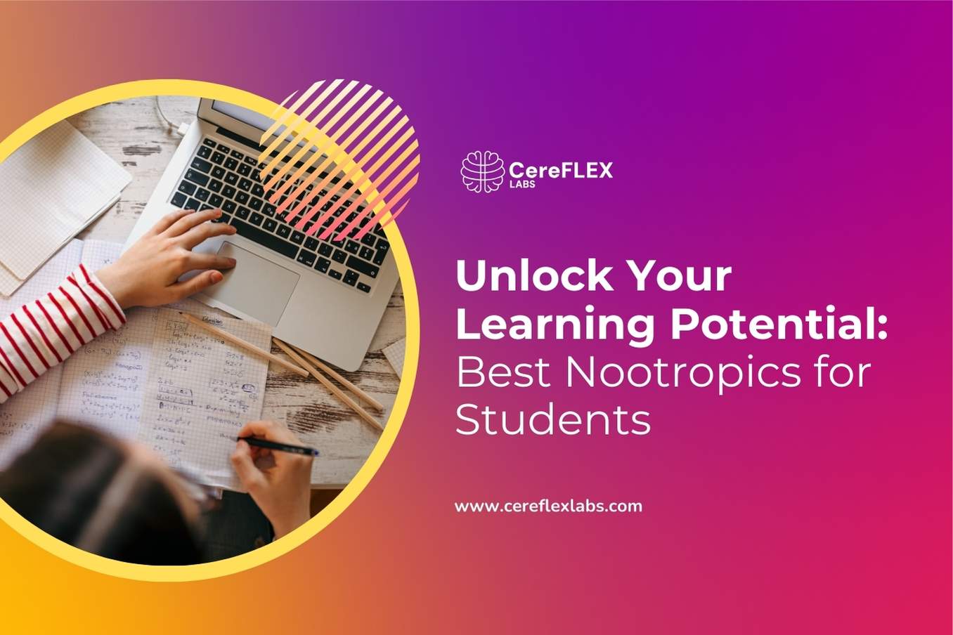 Best Nootropics for Learning and Memory