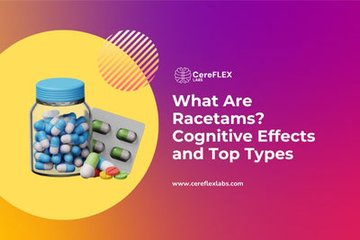 Guide to Racetam Nootropics: Effects, Uses & How They Work