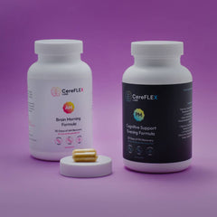 NeuroSync Protocol